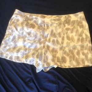 Ann Taylor Print cuffed shorts